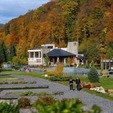 фото Прогулки