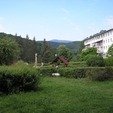Кругом лес фото Санаторий Солнечное Закарпатье Поляна.Кругом лес