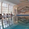 фото Отель Бель Рояль Мукачево. Бассейн