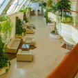 Зона отдыха фото Санатория «Карпаты» в Трускавце. Зона отдыха