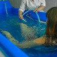 Циркулярные ванны фото Санатория «Карпаты» в Трускавце. Циркулярные ванны