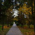 парк фото санаторий молдова в трускавце.парк