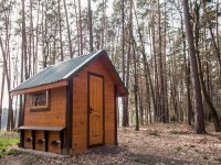 нетрадиционная медицина пролисок